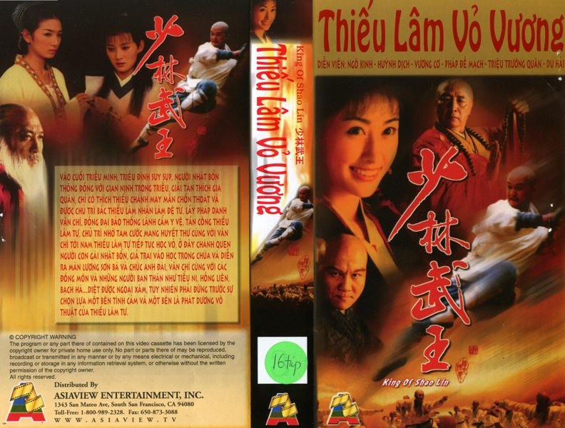 THIEU LAM VO VUONG