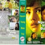 NGUYEN VONG DUA TRE