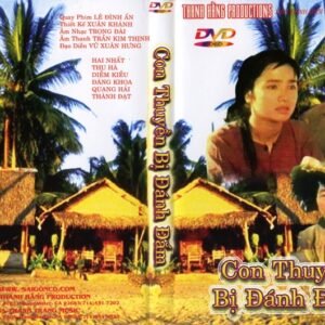CON THUYEN BI DANH DAM