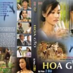 HOA GIO