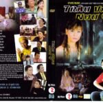 TRAU VANG NHU Y