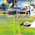 DAU PHAI CHIA LY