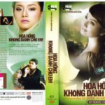 HOA HONG KHONG DANH CHO EM